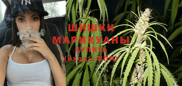 индика Абдулино